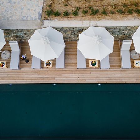 Five Olive Dream Trip Villa Plomari ภายนอก รูปภาพ
