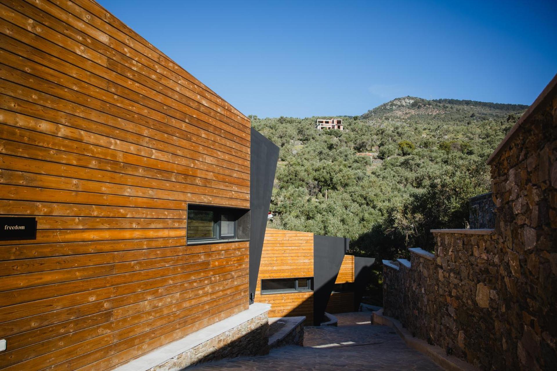 Five Olive Dream Trip Villa Plomari ภายนอก รูปภาพ