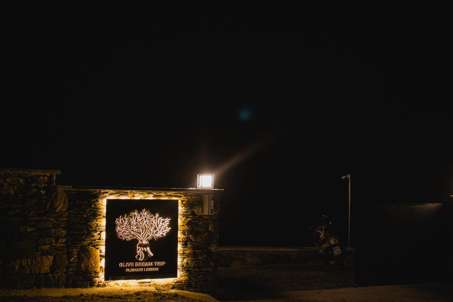 Five Olive Dream Trip Villa Plomari ภายนอก รูปภาพ