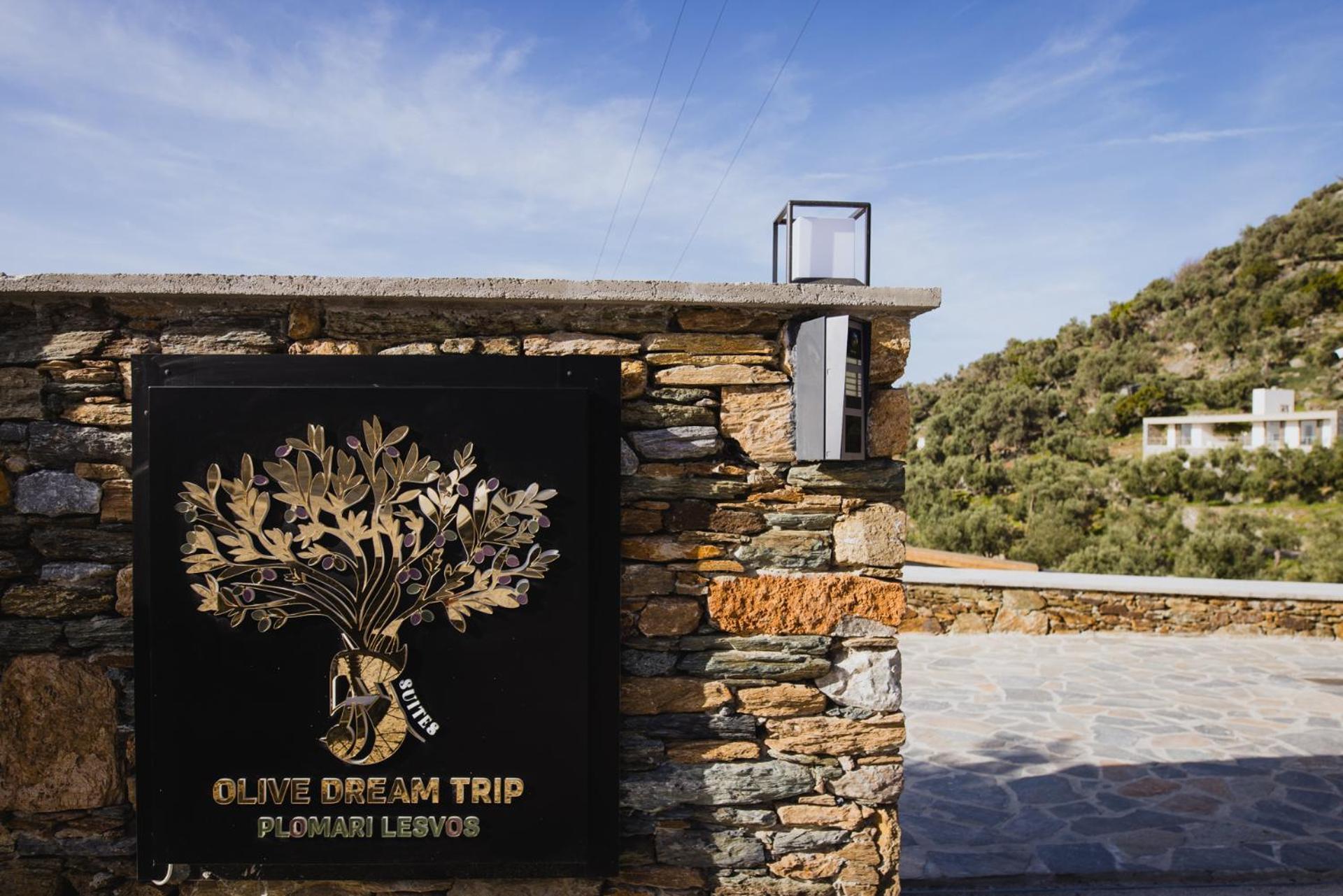 Five Olive Dream Trip Villa Plomari ภายนอก รูปภาพ