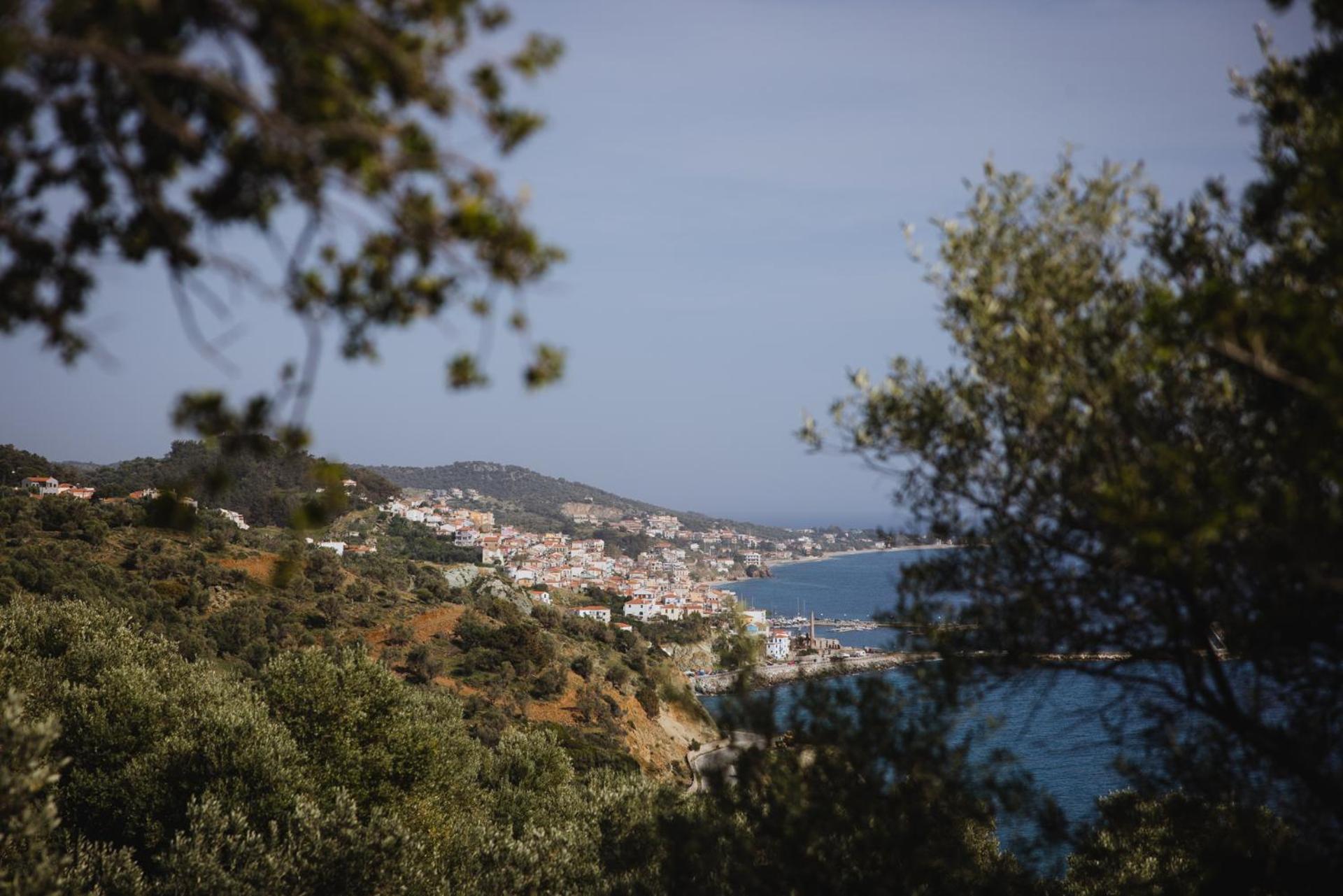 Five Olive Dream Trip Villa Plomari ภายนอก รูปภาพ